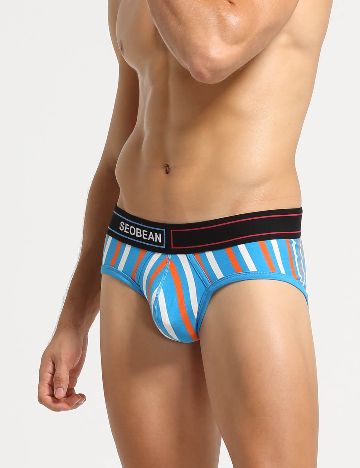 Stripe Briefs 220105 | dmunderwear detail image 10