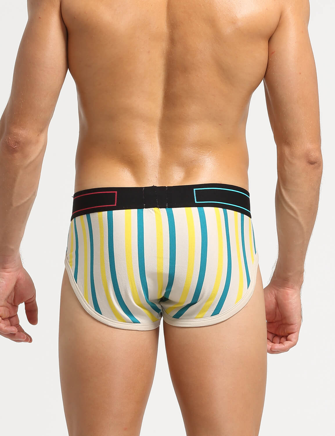 Stripe Briefs 220105 | dmunderwear detail image 12