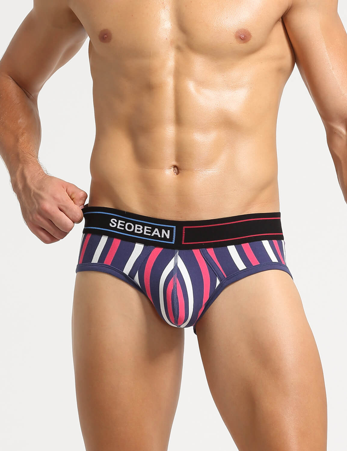 Stripe Briefs 220105 | dmunderwear detail image 3