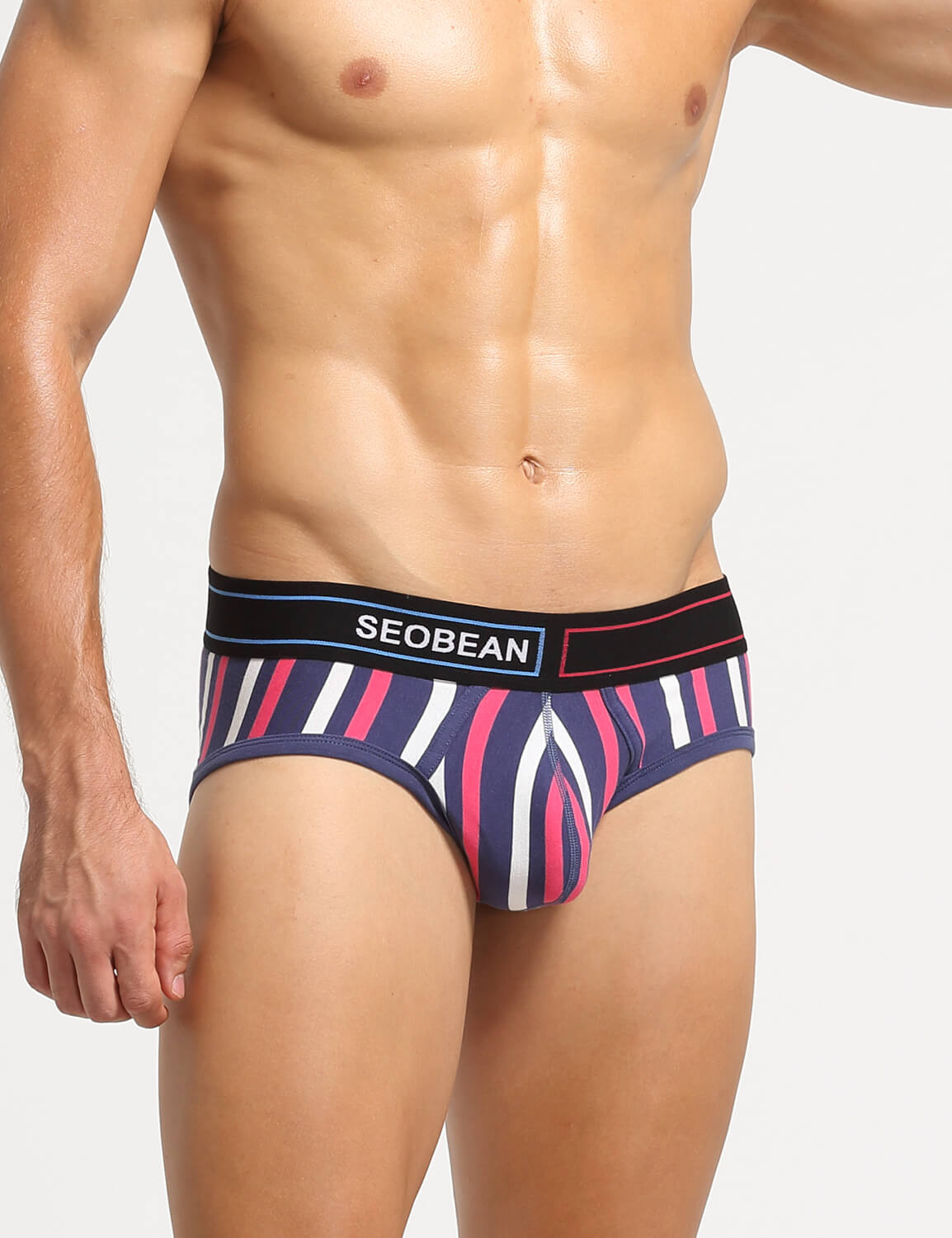 Stripe Briefs 220105 | dmunderwear detail image 4
