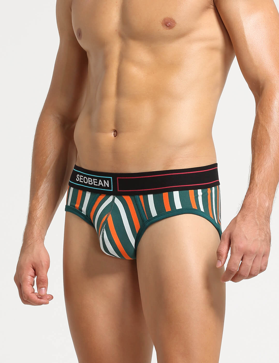 Stripe Briefs 220105 | dmunderwear detail image 5