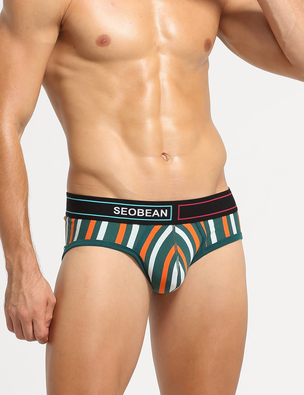 Stripe Briefs 220105 | dmunderwear detail image 8