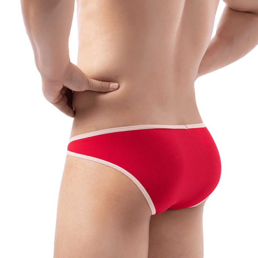 Stunner Trimmed Bikini | dmunderwear detail image 7