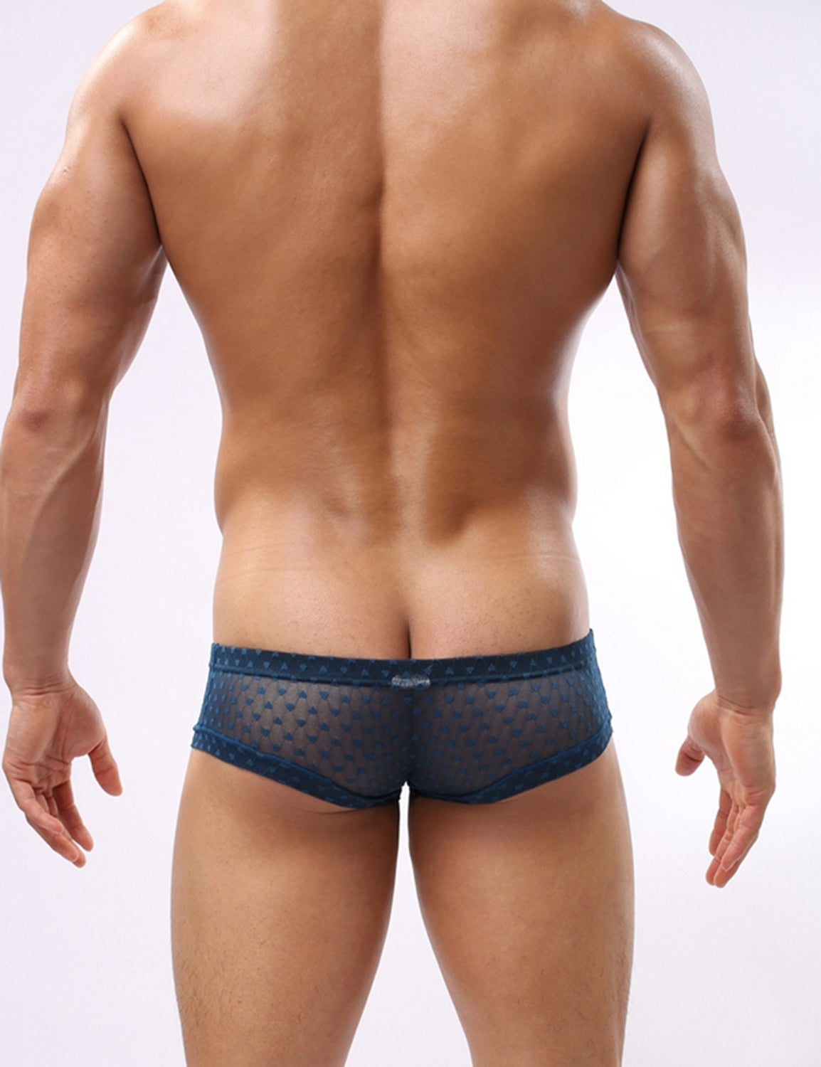 Super Low Rise Mesh Nano Boxer Briefs 4120 | dmunderwear detail image 2