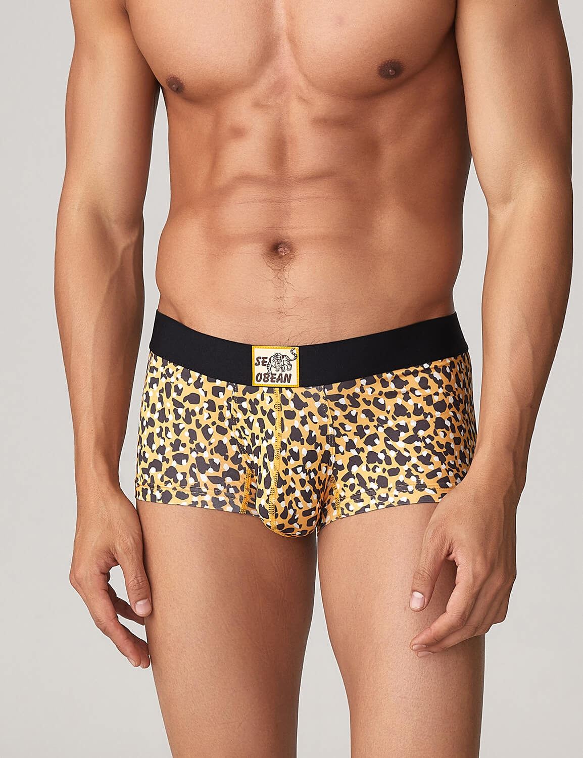 Tiger Pattern Boxer Brief 220204 | dmunderwear detail image 6