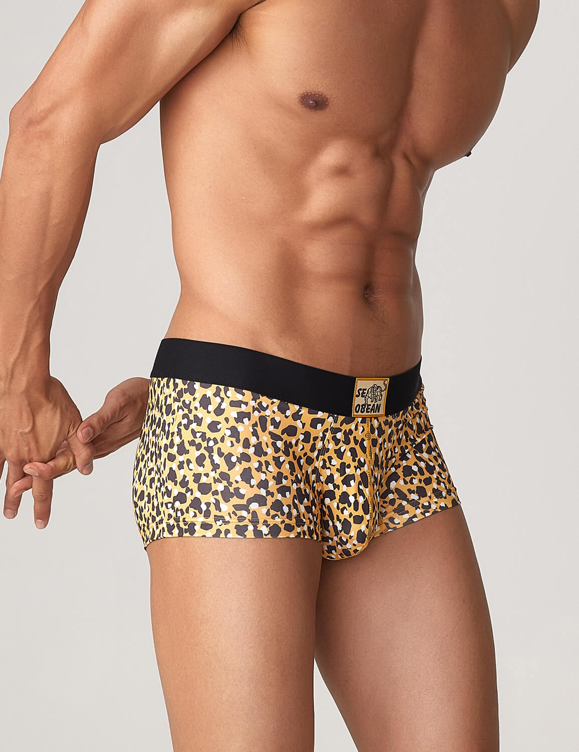 Tiger Pattern Boxer Brief 220204 | dmunderwear detail image 8