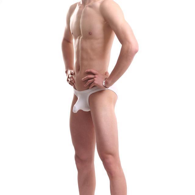Designer Elephant Briefs | dmunderwear detail image 3