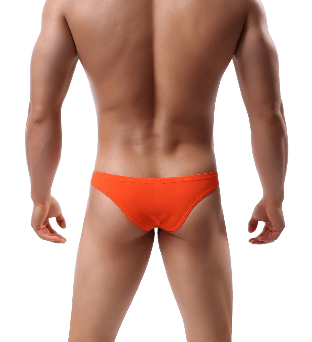 Light Triangle Bikini Briefs | dmunderwear detail image 12