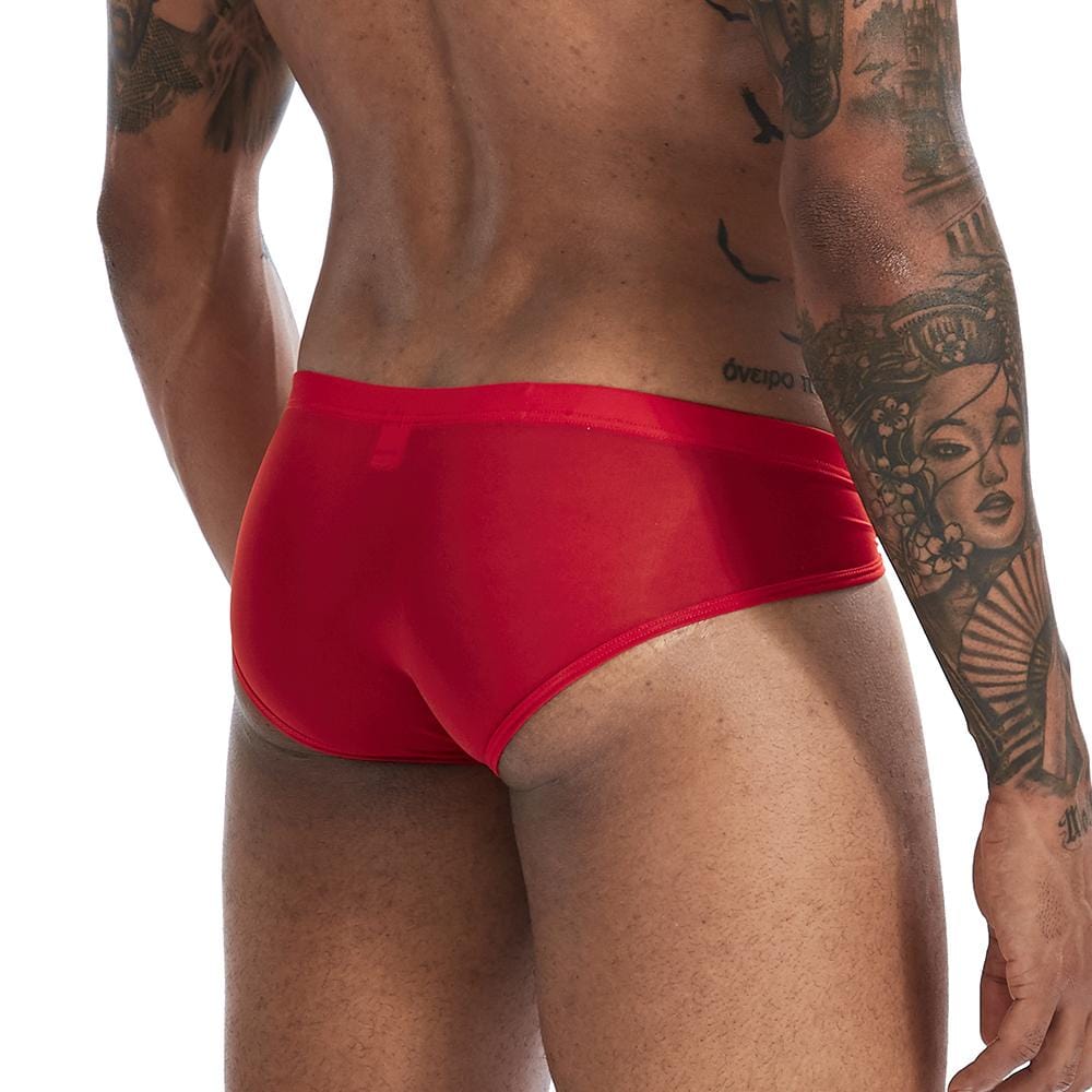 Ice Silk T-Briefs | dmunderwear detail image 11