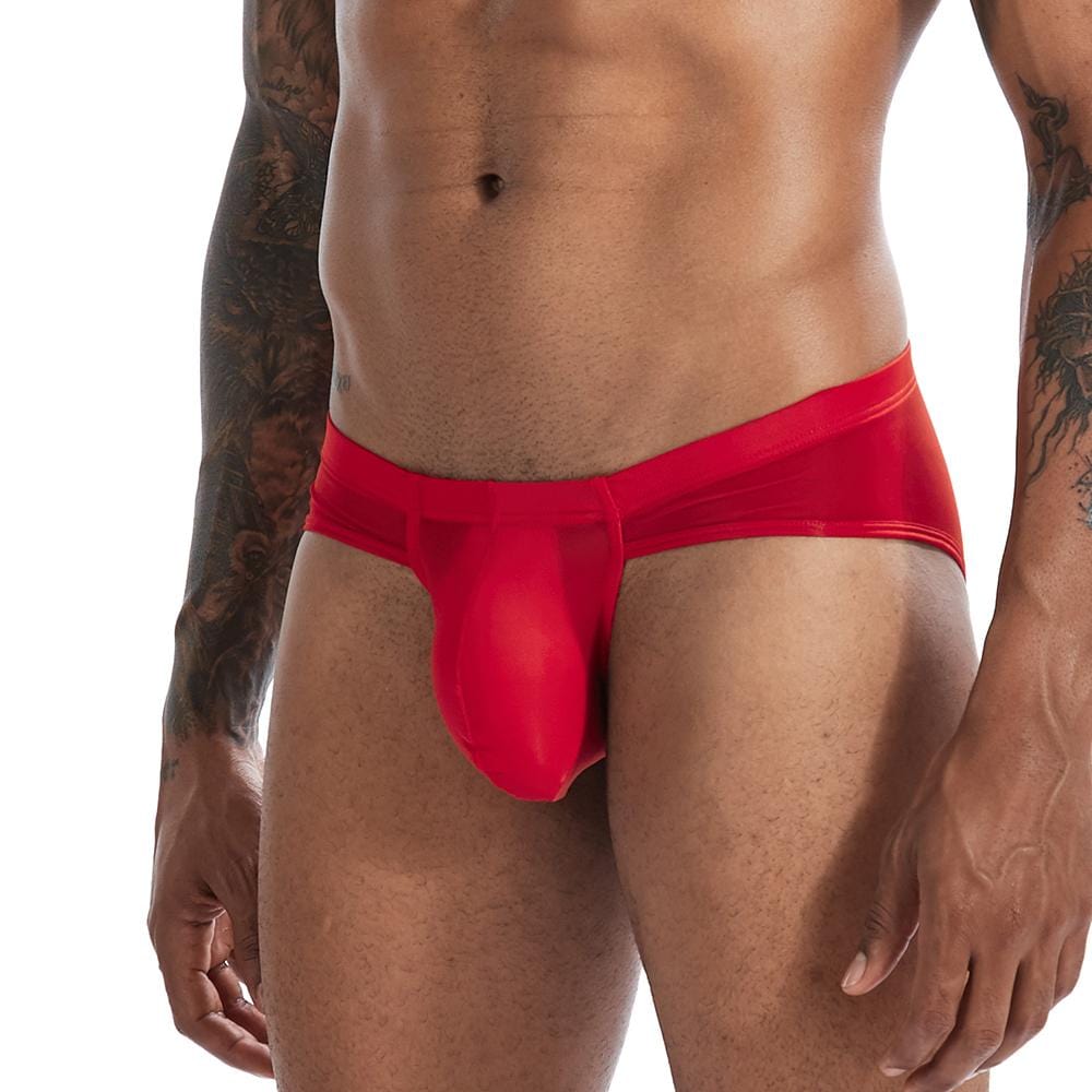Ice Silk T-Briefs | dmunderwear detail image 9