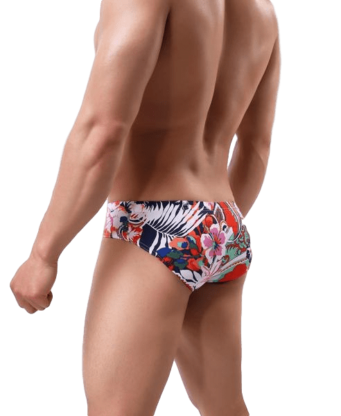5 Pack Wild Stretch Briefs | dmunderwear detail image 3