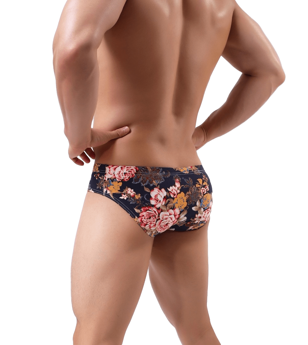 5 Pack Wild Stretch Briefs | dmunderwear detail image 6