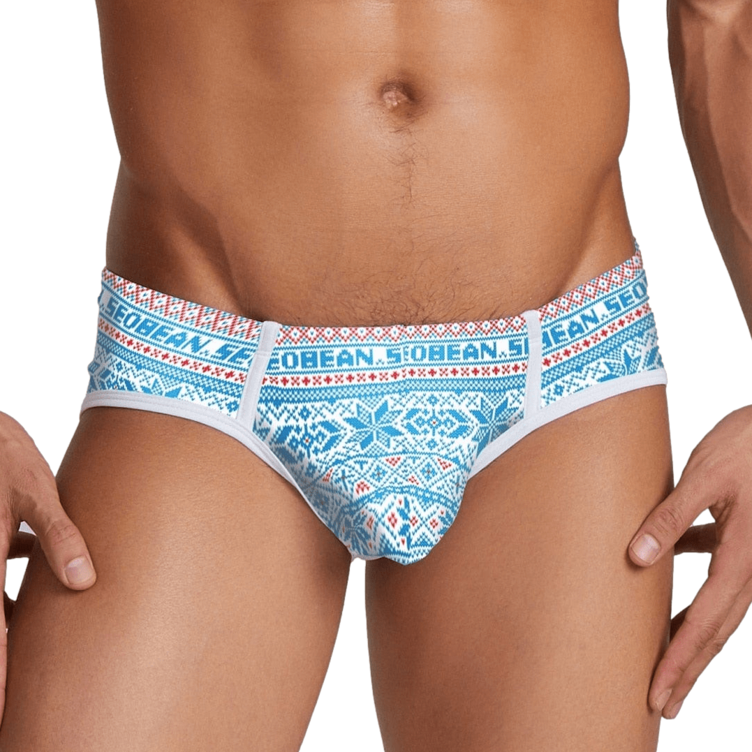 Winter Wonderland Briefs | dmunderwear