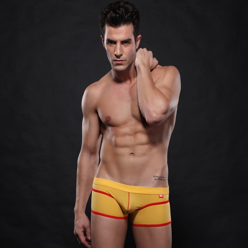 WJ Mesh Boxer Briefs | dmunderwear detail image 13