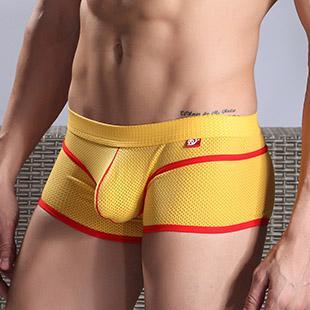 WJ Mesh Boxer Briefs | dmunderwear detail image 14