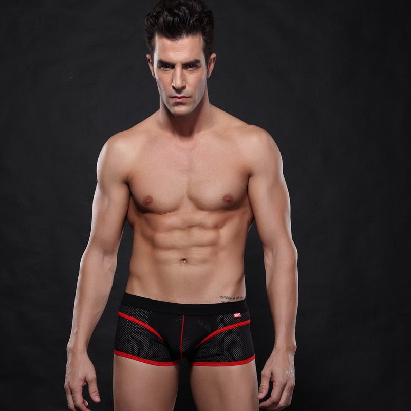 WJ Mesh Boxer Briefs | dmunderwear variant image