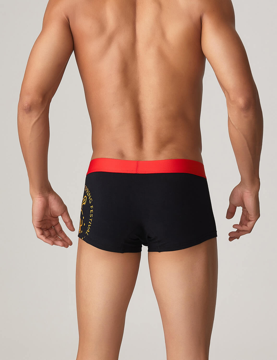 Year of the Tiger Boxer Briefs 10214 | dmunderwear detail image 11