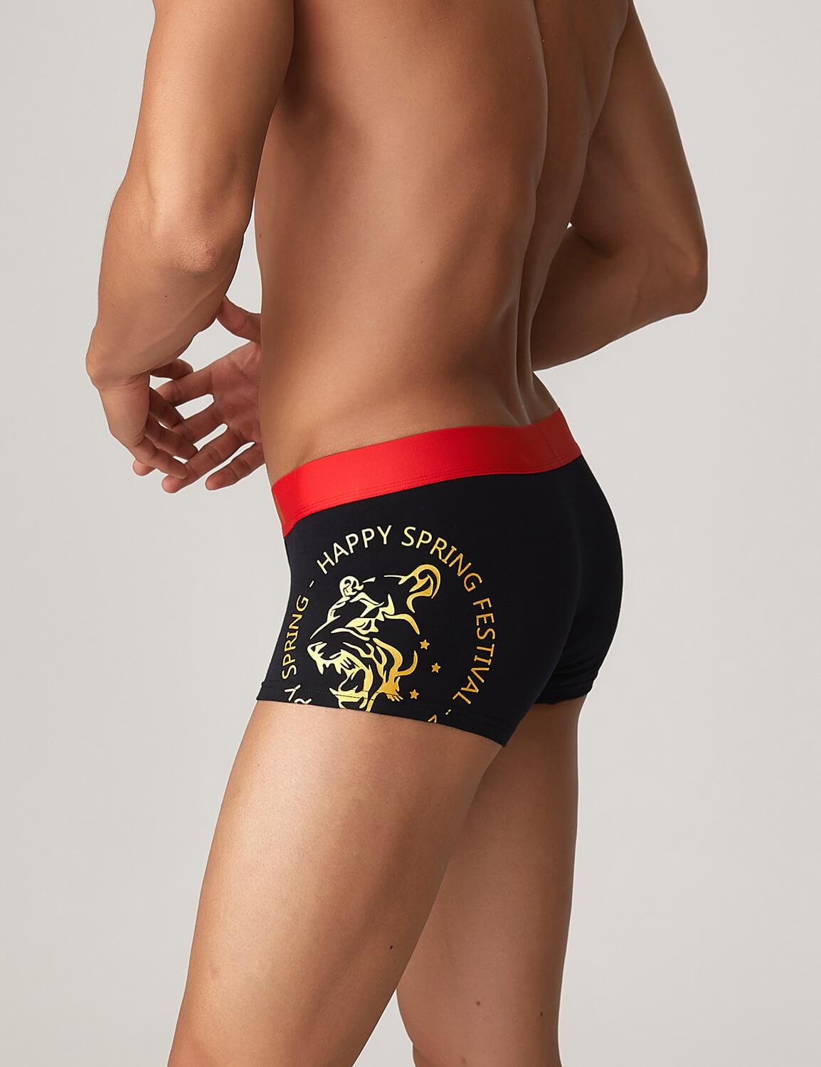 Year of the Tiger Boxer Briefs 10214 | dmunderwear detail image 2